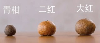 柑普茶的小青柑、二红柑和大红柑有何区别？快来了解