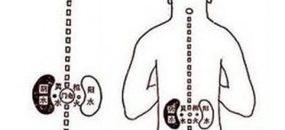 补肾壮阳酒配方揭秘：夜狼神威御液酒的正确泡制方法及功效