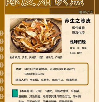陈皮的神奇功效：缓解脘腹胀满与燥湿化痰的中药材