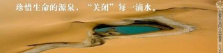 江苏东台陈皮酒的独特魅力与制作工艺详解：源自北宋范仲淹的传统名酒及其养生功效