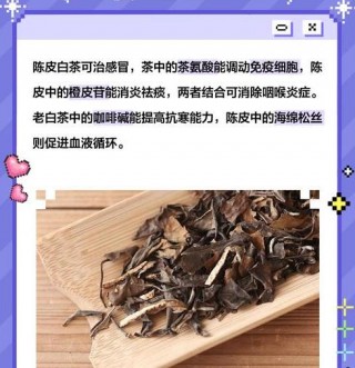 陈皮白茶的健康益处：消暑提神，促进新陈代谢的绝佳选择