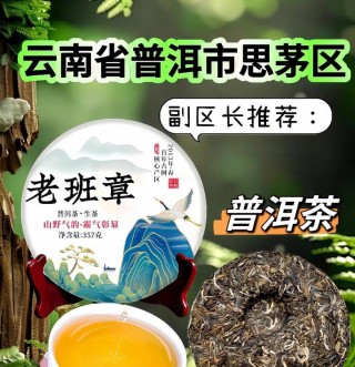 十大普洱品牌排行：品味千年古树韵味，领略云南七子饼茶与福鼎白茶魅力