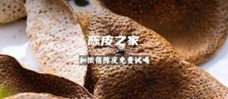 新会陈皮三江产区特点解析：为何二线产区中三江陈皮备受瞩目？