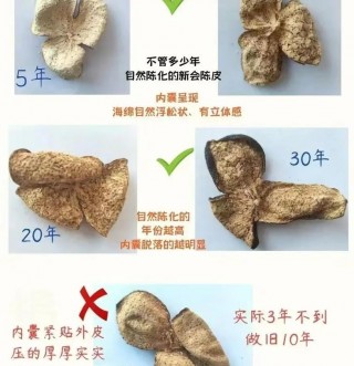 五邑大学发明陈皮年份鉴定方法及系统，GC技术助力精准鉴定