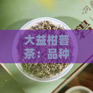 陈皮茶：健康保健饮品，你了解多少？