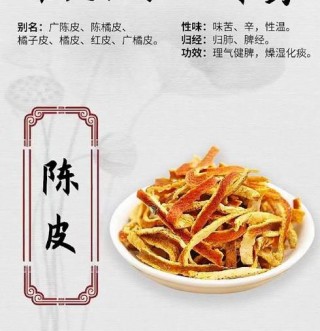 陈皮有哪些作用？从助消化到改善菜肴味全方位解析