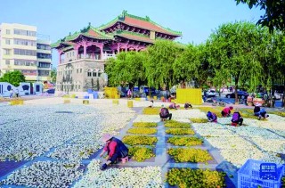 江门丽宫股份冲击北交所上市，或成陈皮第一股