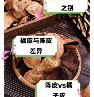 橘子皮与陈皮在颜色和功效有别，皇帝柑皮能否制陈皮