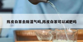 陈皮去湿气效果如何？陈皮配什么喝去湿气效果更佳？