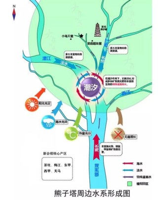 新会陈皮：核心产区的独特价值与品质优势