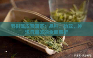 掌握这些技巧，让你轻松挑选口感好的陈皮茶这几个要点你一定要知道