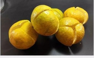 陈皮是养生好食材，新会陈皮更是上品，功效作用知多少