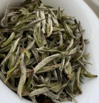 陈皮白茶的历史、产地与功效：探索中国南方特色茶品的独特魅力
