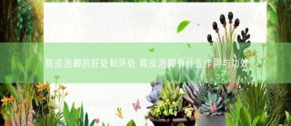 陈皮泡脚的好处与坏处详谈：养生保健、气血流通及疾病预防等方面