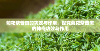 贡菊普洱茶的功效与作用：改善消化、降低胆固醇、消除油腻感