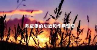 陈皮粥的功效与作用全解析：理气健脾、燥湿化痰的正确做法与禁忌