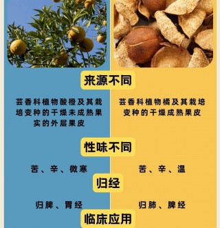 枳壳与陈皮的区别：来源、性味、归经及临床应用全解析