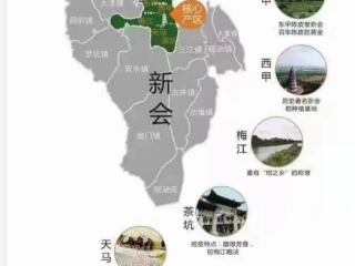 新会陈皮五大产区在哪里？产区排名如何？一文告诉你