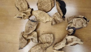 橘子皮与陈皮的区别：功效、作用及正确使用方法全解析