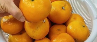 如何自己制作陈皮？详细步骤与注意事项全解析