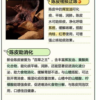 陈皮的功效与作用：缓解胸腹胀满、湿阻中焦及脾虚消化不良的天然良药