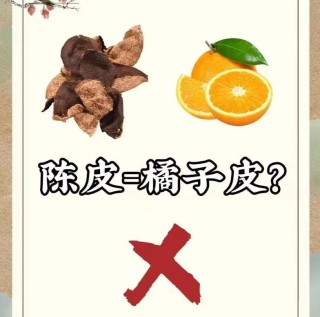 如何辨别优质陈皮：外观、气味与质地的全面指南