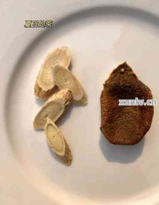 陈皮普洱和诺丽果一起泡水喝的功效及适宜性分析