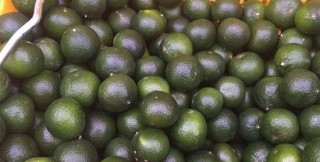 自己制作小青柑普洱茶的步骤与技巧，你知道吗？