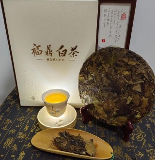 太姥山白茶：高山与平地的品质差异及茶商误导解析