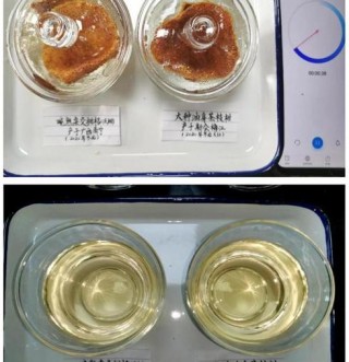 广西陈皮VS新会陈皮：外观、口感与药用价值大不同，你了解吗？