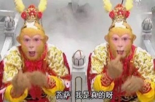 从真假孙悟空看表象与本质：知本质方能辨真假