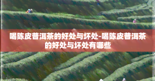 多喝陈皮普洱茶的好处与坏处：促进消化、调节肠胃、减肥效果及注意事项
