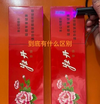 如何辨别牡丹烟333与18K金的真伪：全面指南与实用技巧