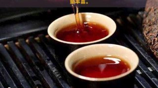福建泉州陈皮：产量、用途、及陈皮普洱茶价格差异