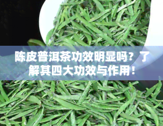 陈皮普洱茶功效解析：促消化与调节血脂的双重好处