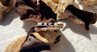 冷水还是热水上锅蒸陈皮？揭秘最佳做法与口感差异