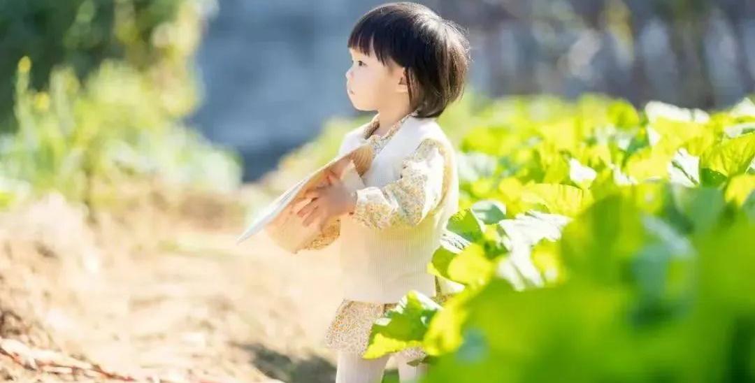 春天不生病的秘诀：清补结合，牛肉补气健脾是佳选