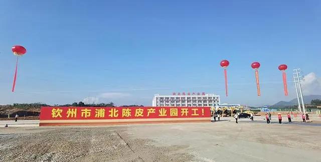 广西钦州市浦北陈皮产业园开工，打造百亿元陈皮产业
