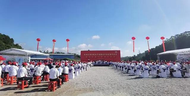 广西钦州市浦北陈皮产业园开工，打造百亿元陈皮产业