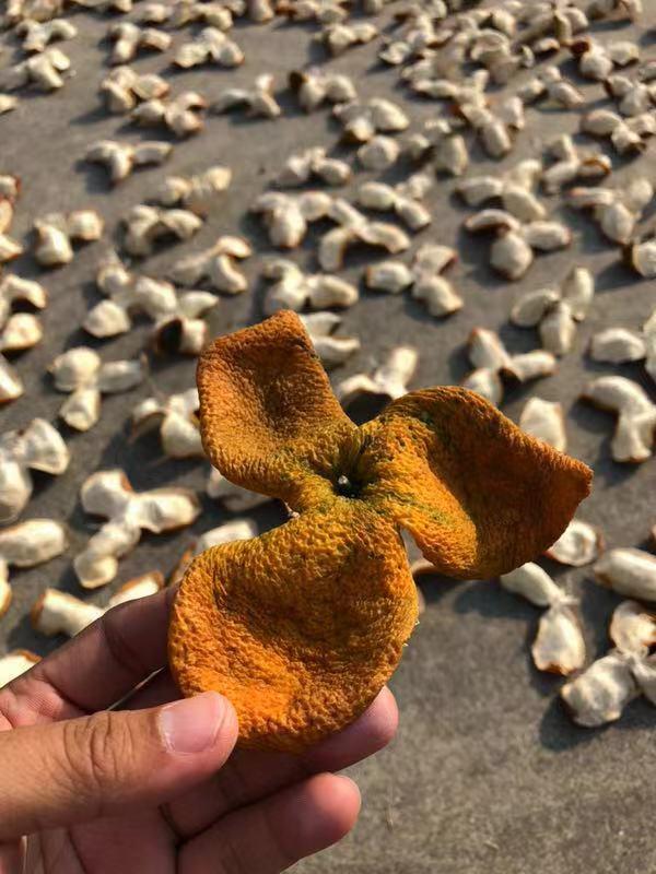 夏至后天气炎热，广东汤水文化中的陈皮你了解多少？