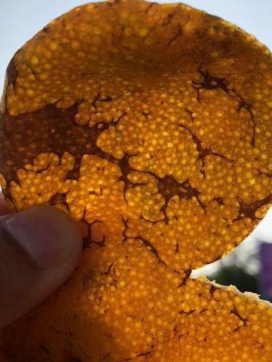 夏至后天气炎热，广东汤水文化中的陈皮你了解多少？