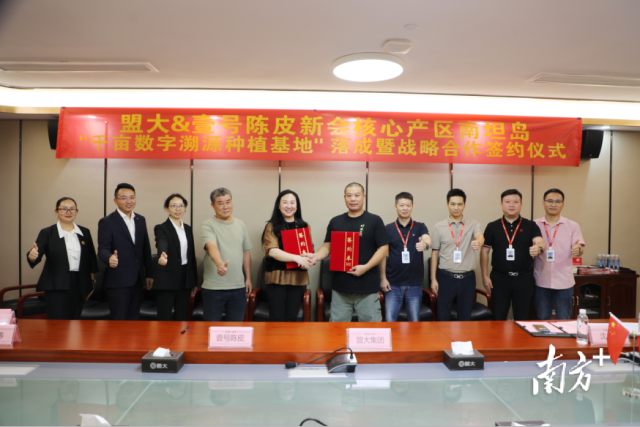 盟大集团与壹号陈皮公司强强联合，助推新会陈皮产业高质量发展