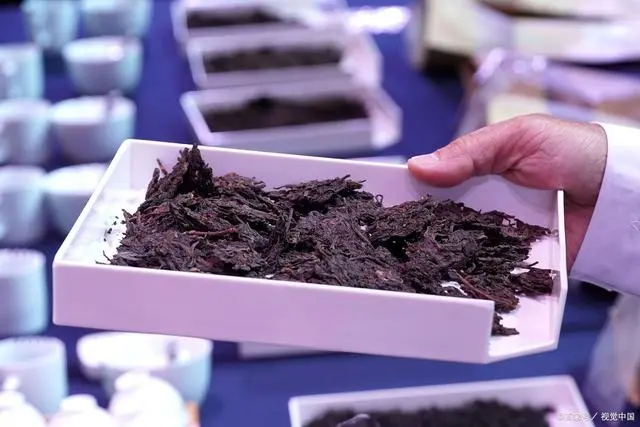 秋天喝五黑茶能补肾吗？中医角度探讨五黑茶的养生功效