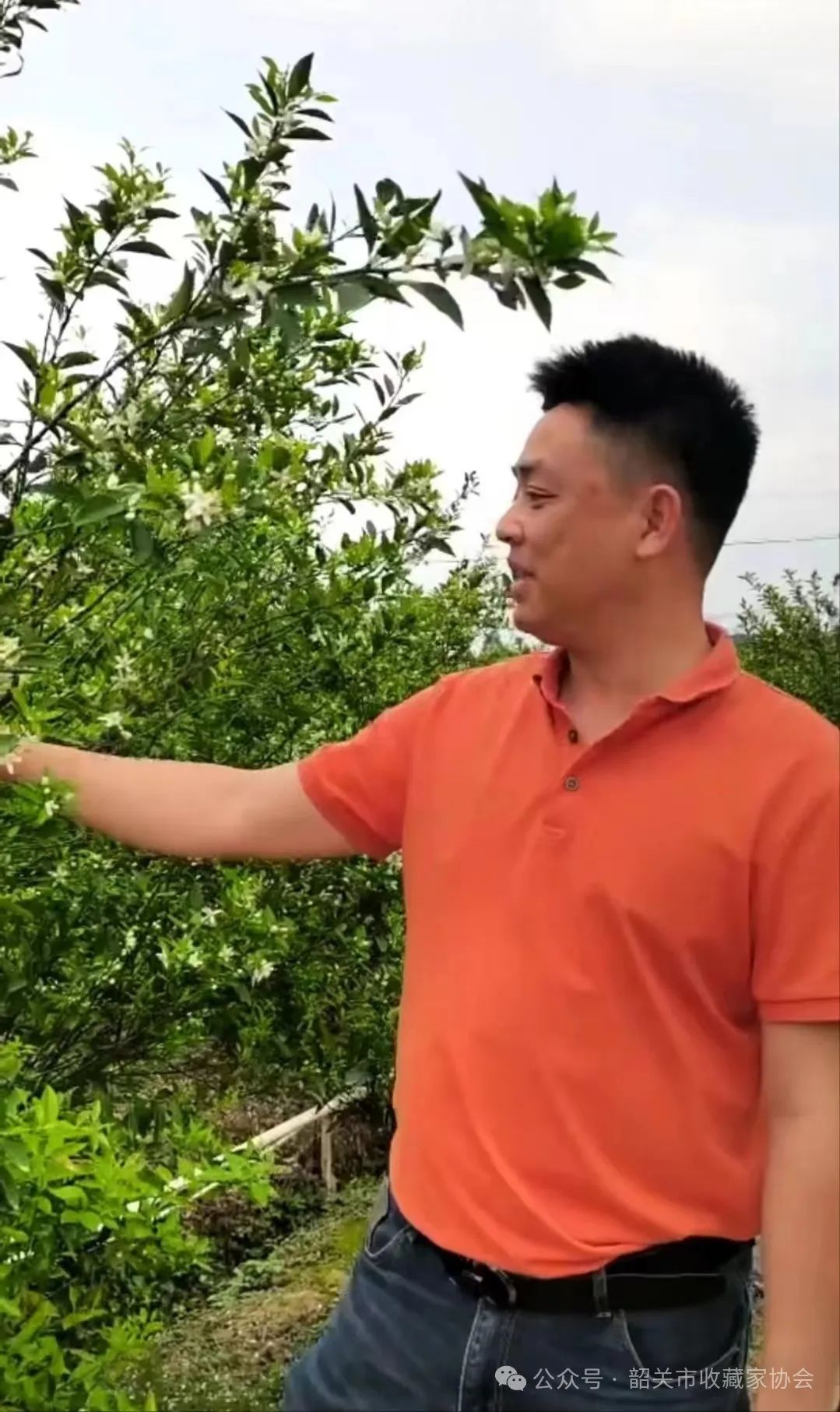 陈皮：药食同源的百果之长，营养丰富且具多种药用功效