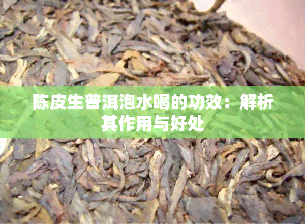 生普洱茶陈皮泡水喝的功效与作用：提神醒脑、促进消化、降脂减肥