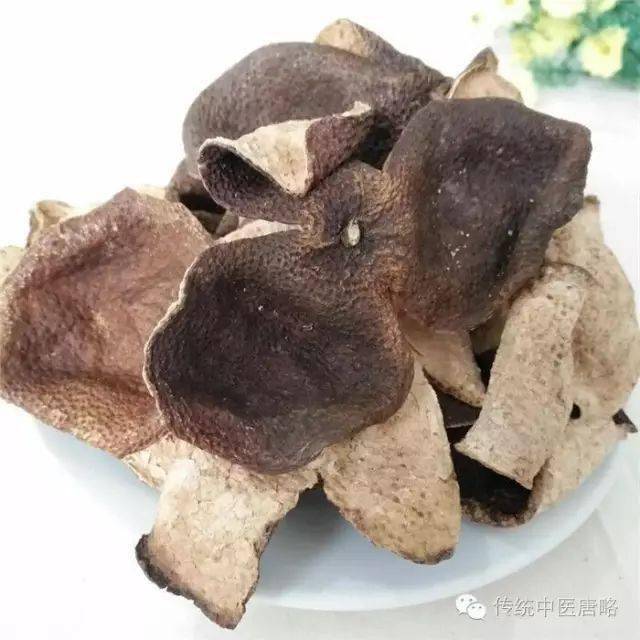 新会陈皮：理气化痰、健胃消食的地道药材
