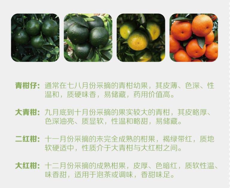 陈皮与橘子皮的区别，你知道吗？快来了解一下吧