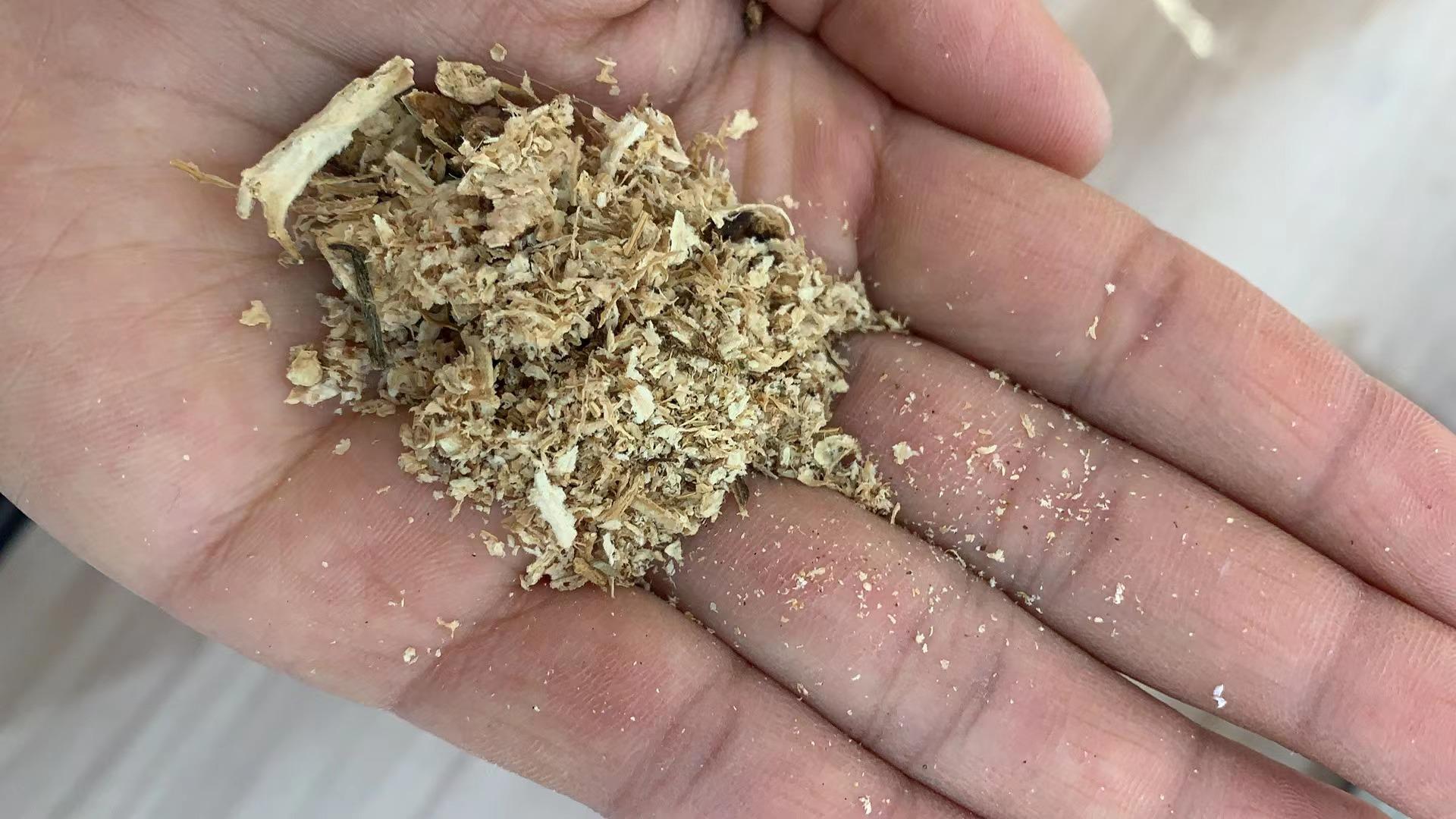 新会陈皮市场冷清，资深柑农李嘉图分享不可能三角理论