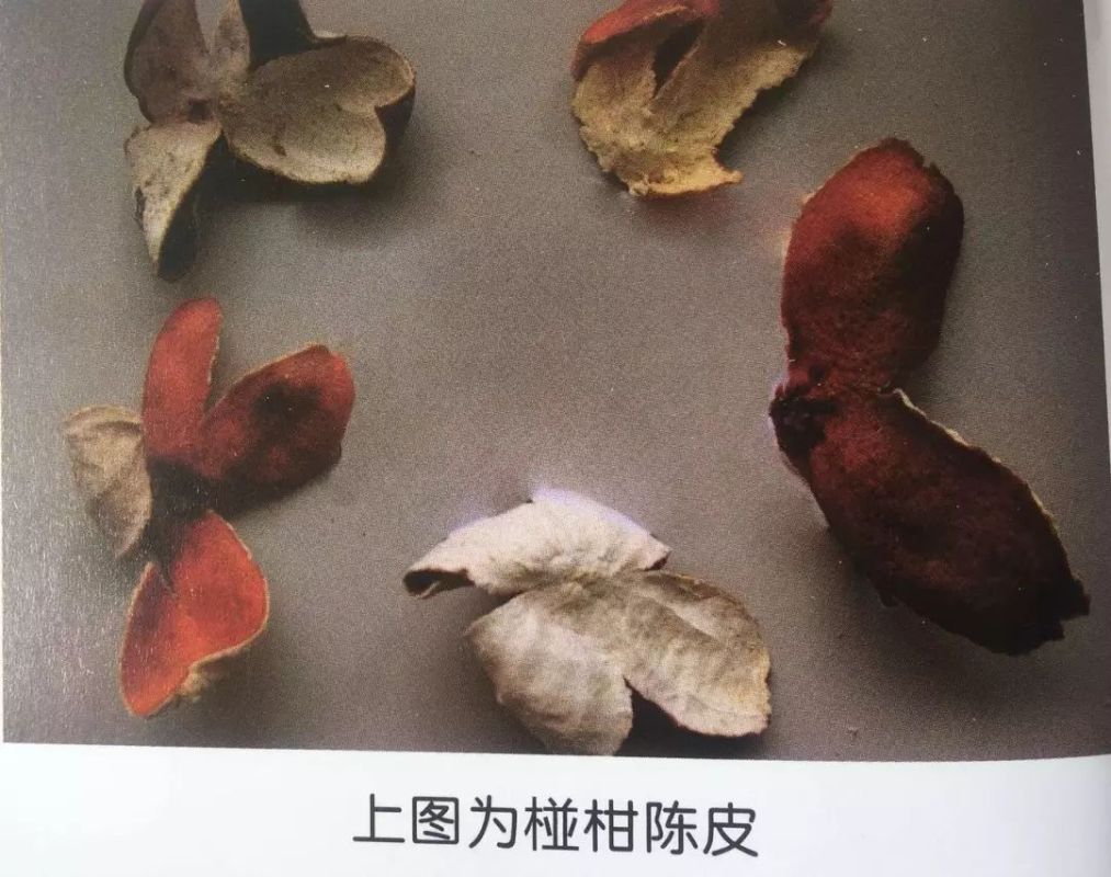 广陈皮才是正宗地道陈皮，你知道如何鉴别吗？