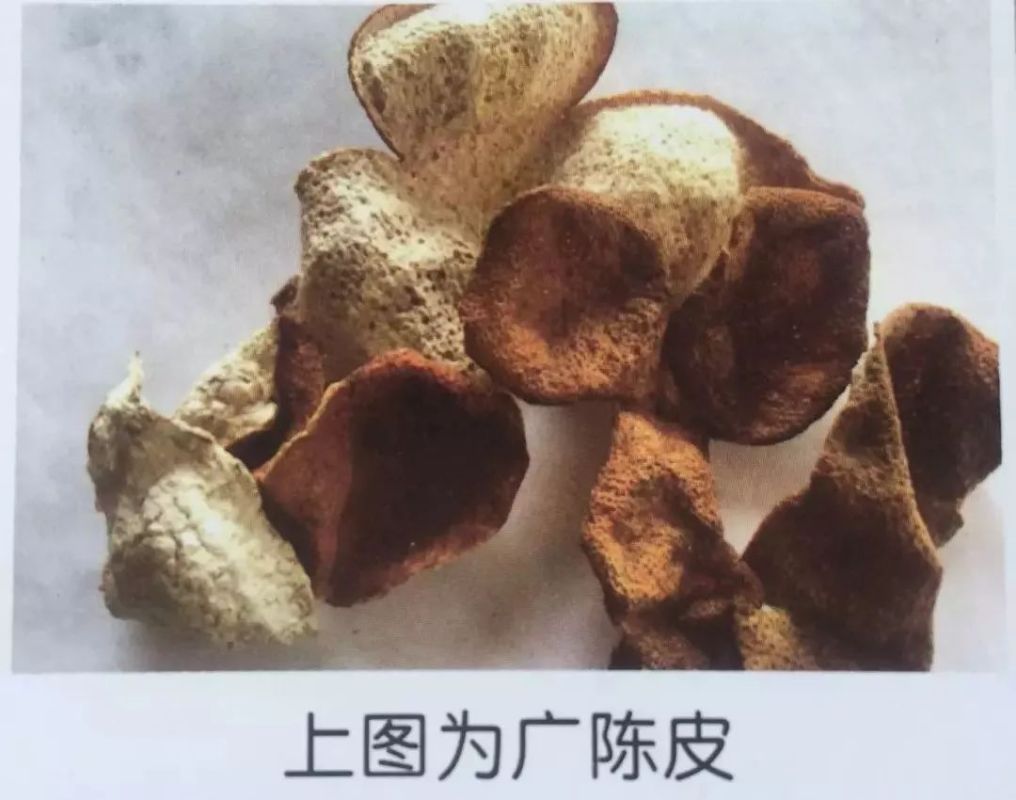 广陈皮才是正宗地道陈皮，你知道如何鉴别吗？